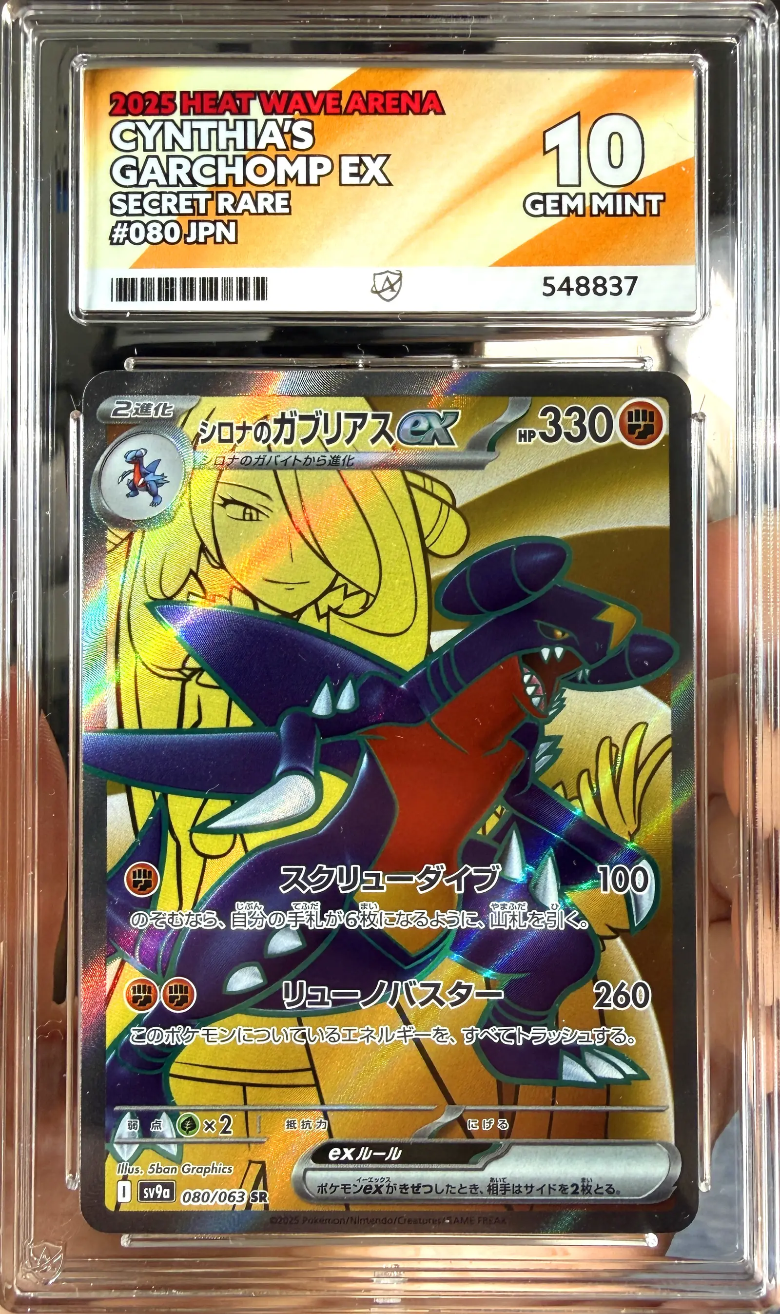 Cynthia's Garchomp ex